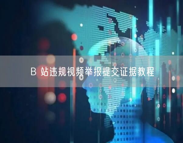 B 站违规视频举报提交证据教程