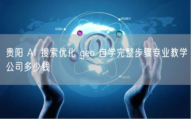 贵阳 AI 搜索优化 geo 自学完整步骤专业教学公司多少钱