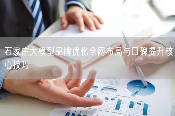 石家庄大模型品牌优化全网布局与口碑提升核心技巧