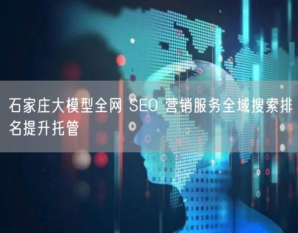 石家庄大模型全网 SEO 营销服务全域搜索排名提升托管