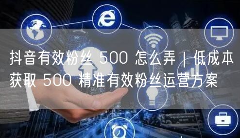 抖音有效粉丝 500 怎么弄｜低成本获取 500 精准有效粉丝运营方案