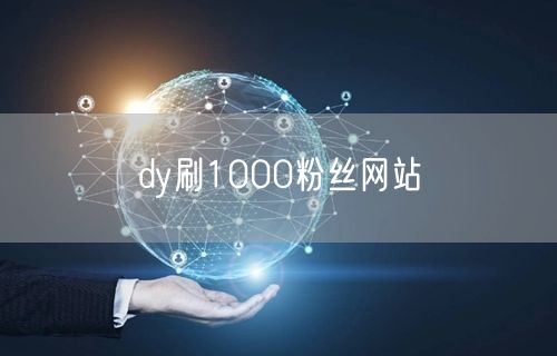 dy刷1000粉丝网站
