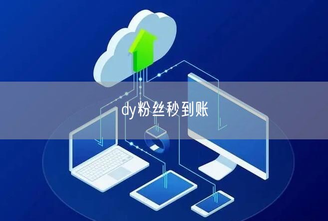 dy粉丝秒到账
