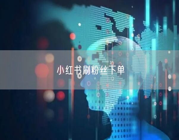 小红书刷粉丝下单