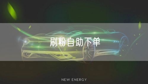 刷粉自助下单