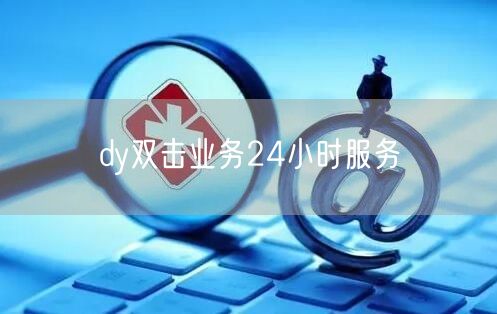 dy双击业务24小时服务