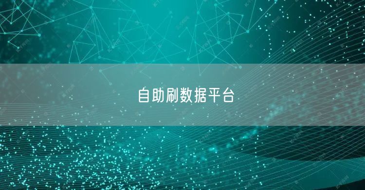 自助刷数据平台