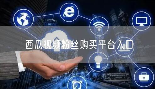 西瓜视频粉丝购买平台入口