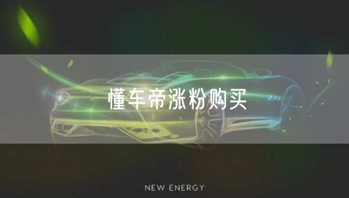 懂车帝涨粉购买