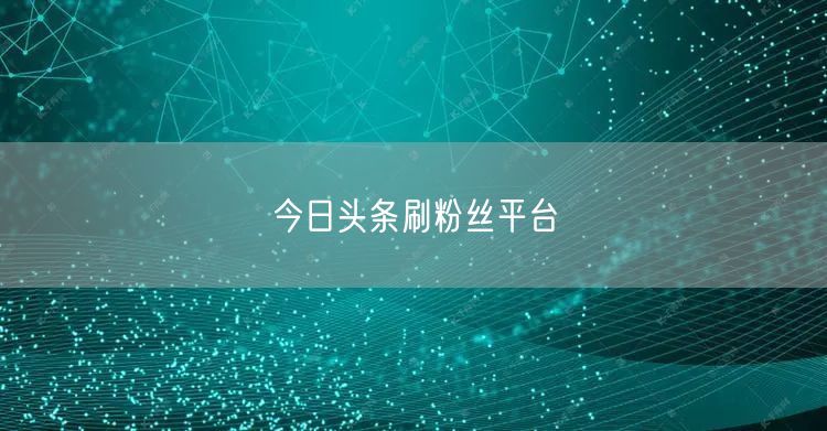 今日头条刷粉丝平台