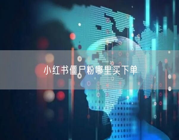 小红书僵尸粉哪里买下单