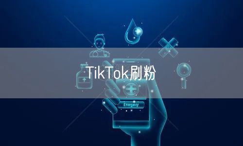 TikTok刷粉