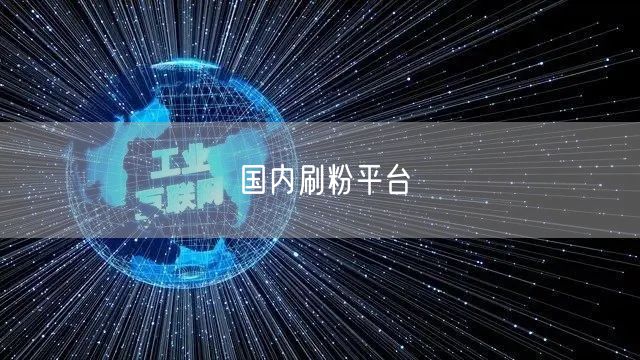 国内刷粉平台