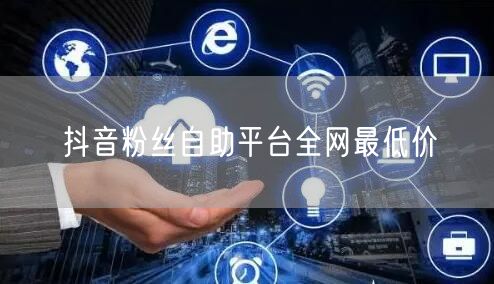 抖音粉丝自助平台全网最低价