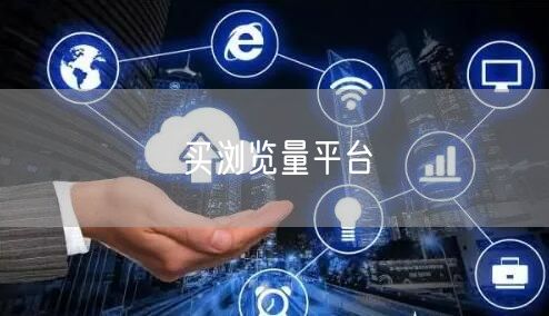 买浏览量平台