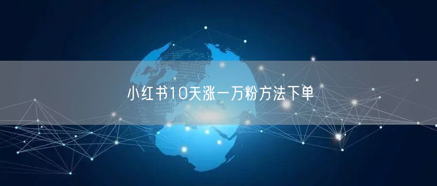 小红书10天涨一万粉方法下单