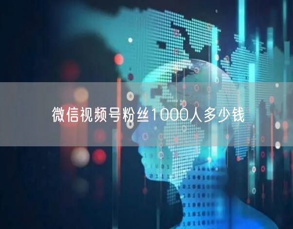 微信视频号粉丝1000人多少钱