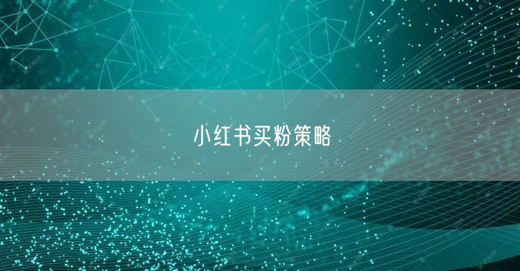 小红书买粉策略