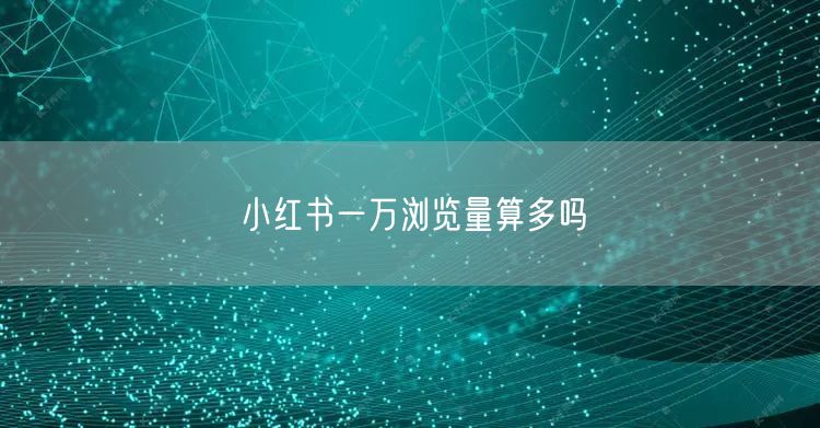 小红书一万浏览量算多吗
