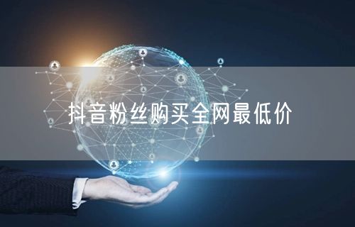 抖音粉丝购买全网最低价