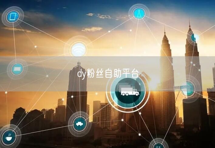 dy粉丝自助平台