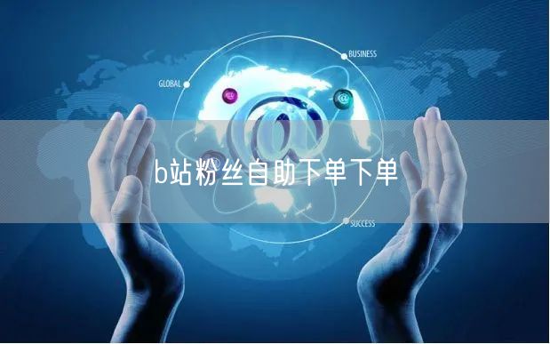 b站粉丝自助下单下单