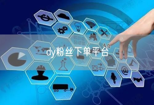 dy粉丝下单平台