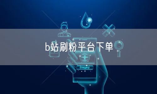 b站刷粉平台下单