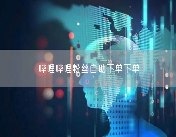 哔哩哔哩粉丝自助下单下单