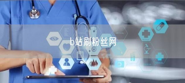b站刷粉丝网