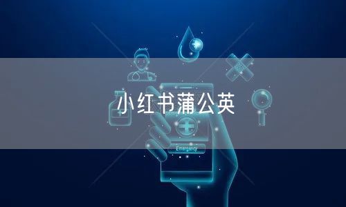 小红书蒲公英