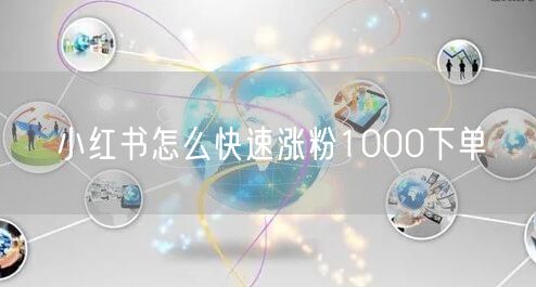 小红书怎么快速涨粉1000下单