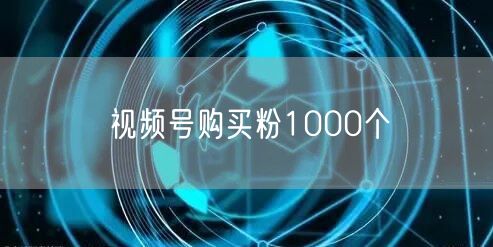 视频号购买粉1000个