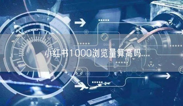 小红书1000浏览量算高吗