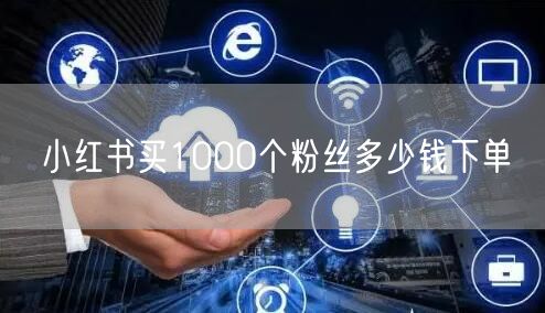 小红书买1000个粉丝多少钱下单