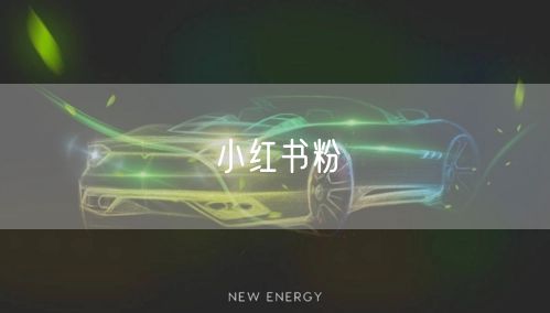 小红书粉