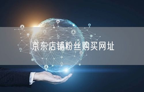 京东店铺粉丝购买网址