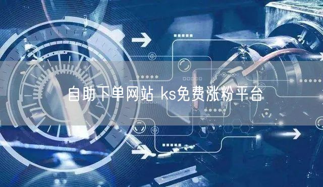 自助下单网站 ks免费涨粉平台