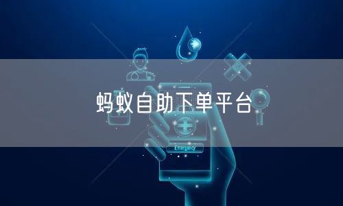 蚂蚁自助下单平台