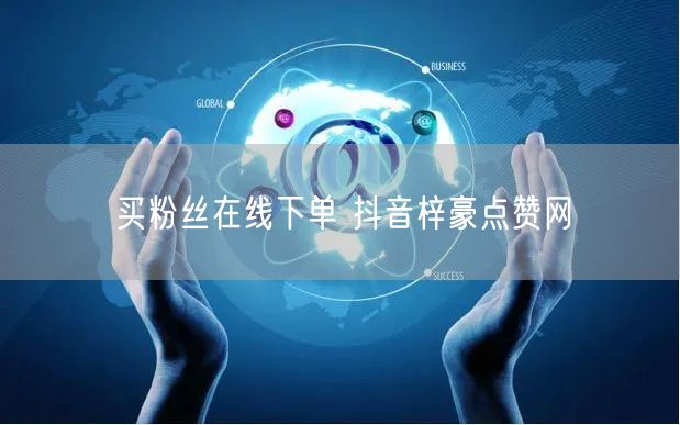 买粉丝在线下单 抖音梓豪点赞网