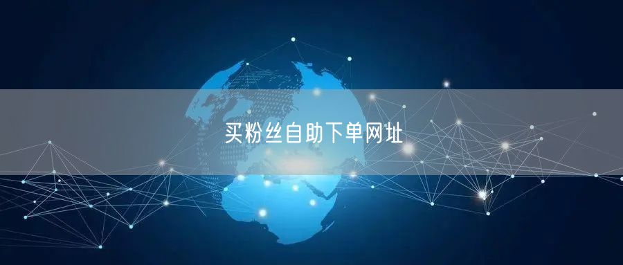买粉丝自助下单网址