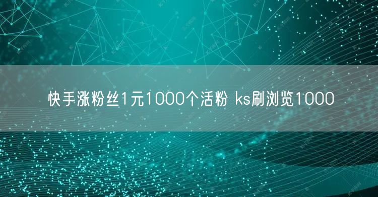 快手涨粉丝1元1000个活粉 ks刷浏览1000