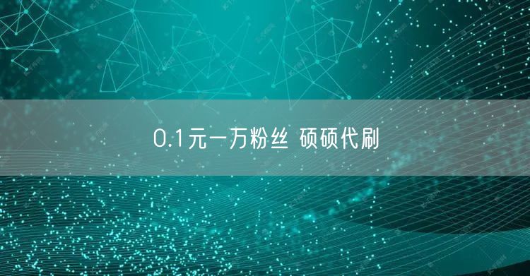 0.1元一万粉丝 硕硕代刷