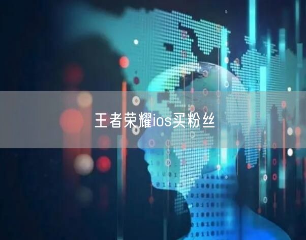 王者荣耀ios买粉丝