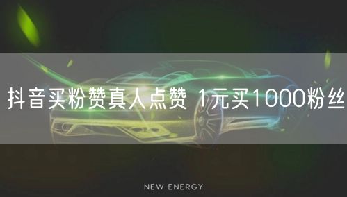 抖音买粉赞真人点赞 1元买1000粉丝
