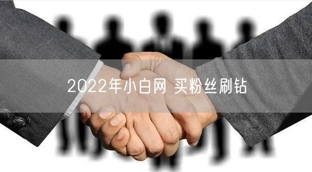 2022年小白网 买粉丝刷钻