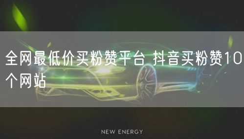 全网最低价买粉赞平台 抖音买粉赞10个网站