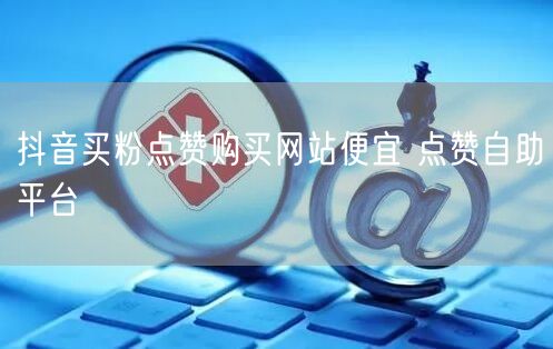 抖音买粉点赞购买网站便宜 点赞自助平台
