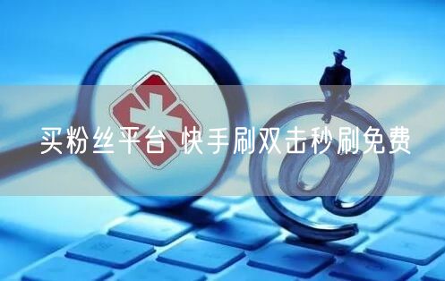 买粉丝平台 快手刷双击秒刷免费