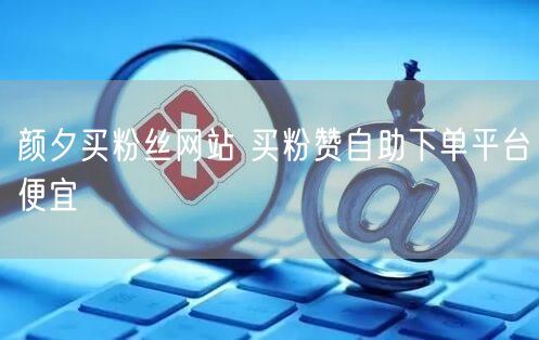 颜夕买粉丝网站 买粉赞自助下单平台便宜
